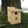 Great crested flycatcher box