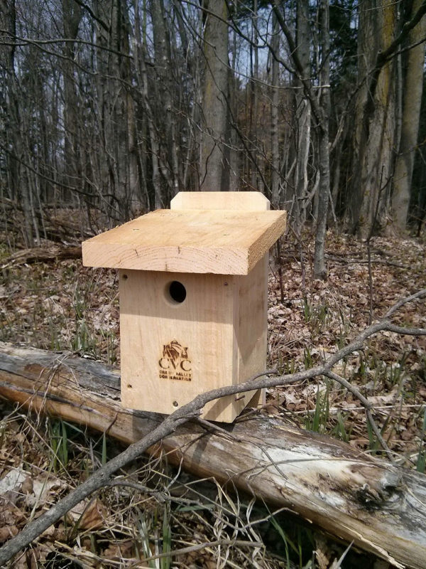 House Wren Box