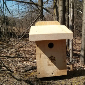Red Breasted Nuthatch Box