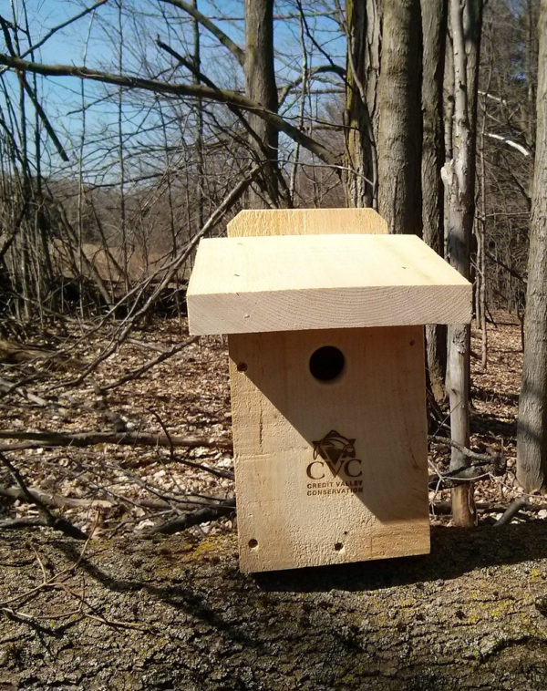 Red Breasted Nuthatch Box