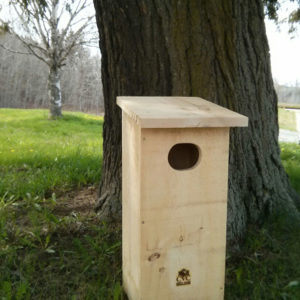 Wooden Duck Box