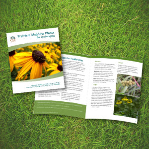 Prairie Meadow Plant Booklet