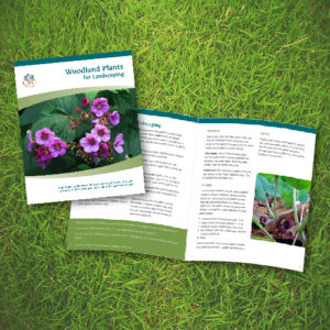 woodland plants booklet