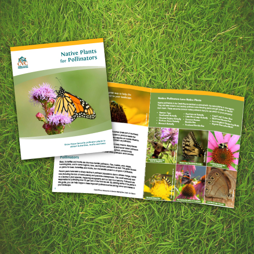 Pollinators Booklet