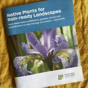 Native Plants for Rain-ready Landscapes Booklet