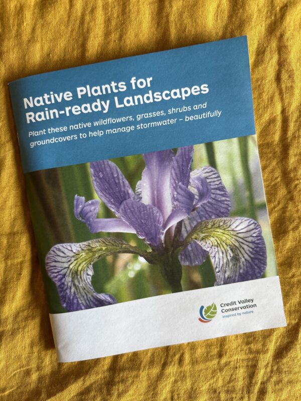 Native Plants for Rain-ready Landscapes Booklet